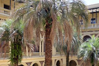 40 Patio de las Palmeras Palm Tree Patio From Above Casa Rosado Plaza de Mayo Buenos Aires